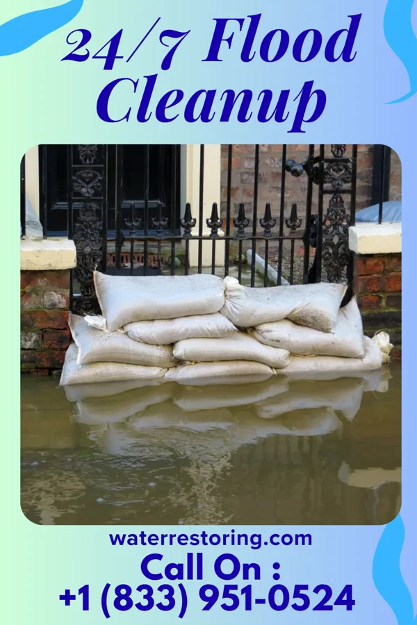 24/7 Flood Cleanup in Bishopville, SC