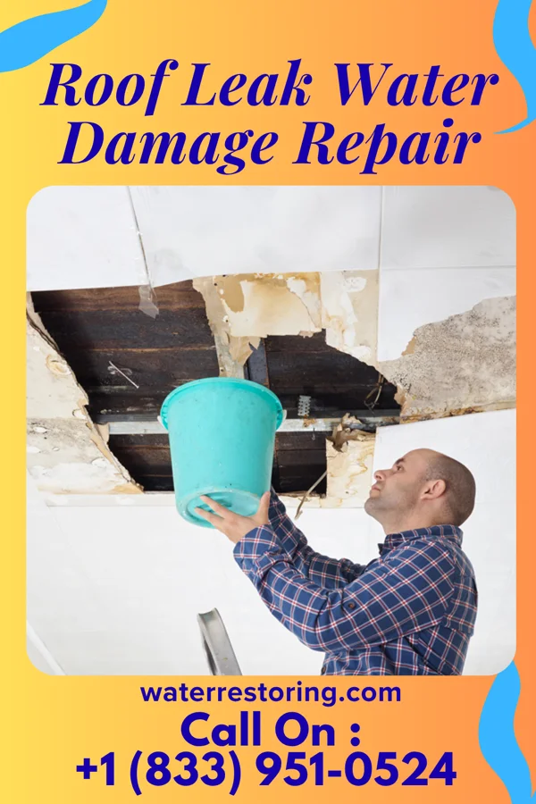 Roof Leak Water Damage Repair in Bishopville, SC